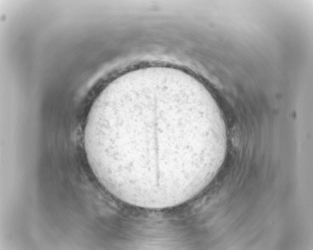 X0000088651495200706221557