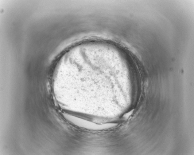 X0000088651496200706221557