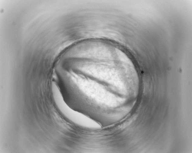 X0000088651497200706221557