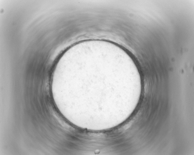 X0000088651498200706221557