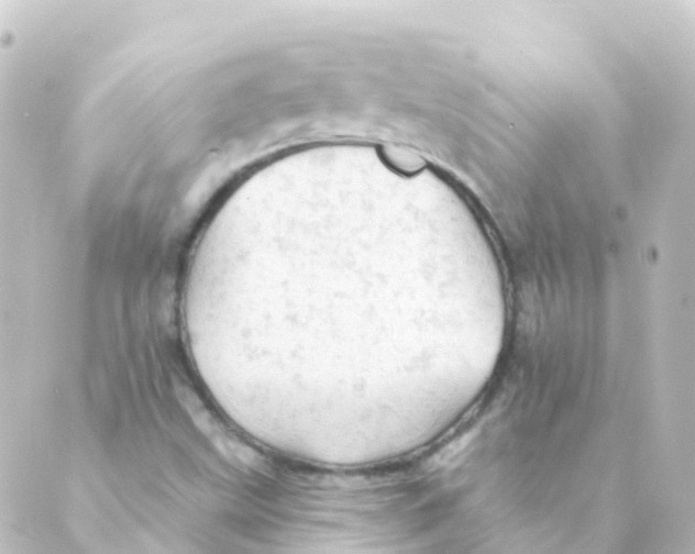 X0000088651499200706221557