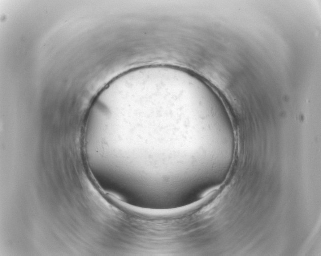 X0000088651500200706221557