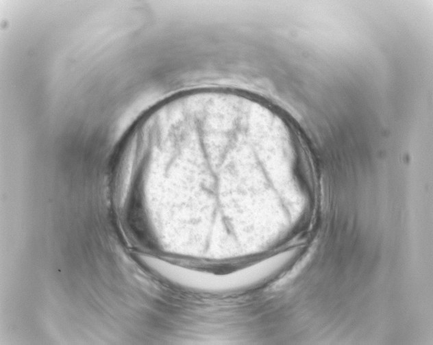 X0000088651501200706221557