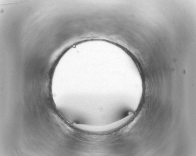 X0000088651502200706221557