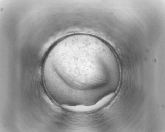 X0000088651503200706221557