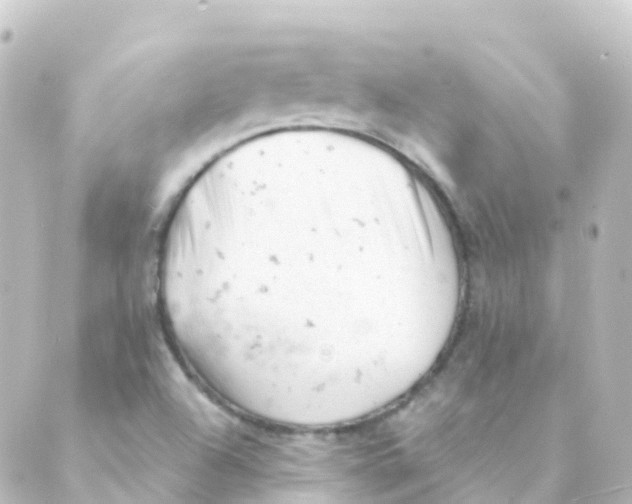 X0000088651504200706221557