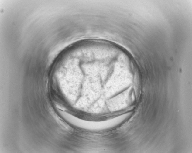 X0000088651507200706221557