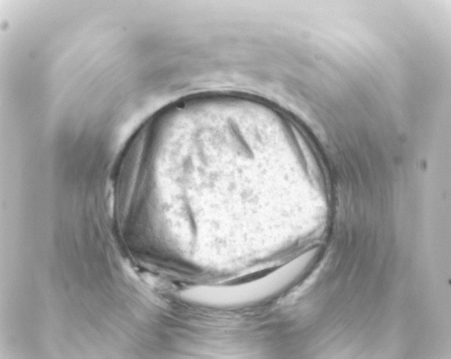 X0000088651509200706221557