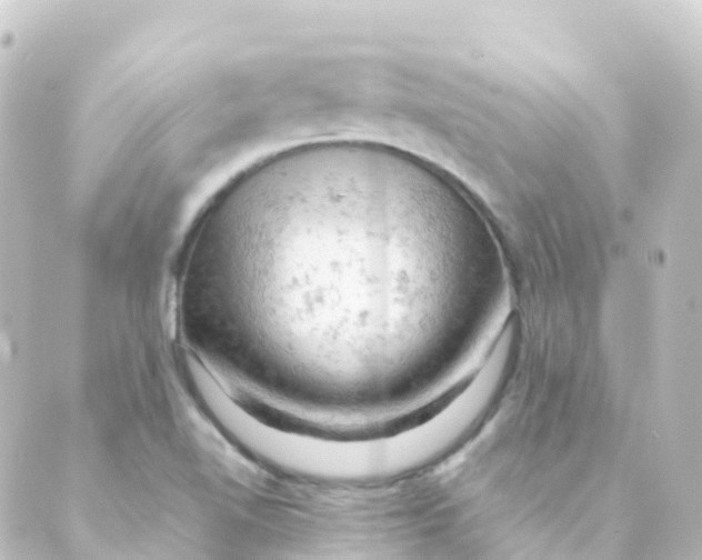 X0000088651510200706221557