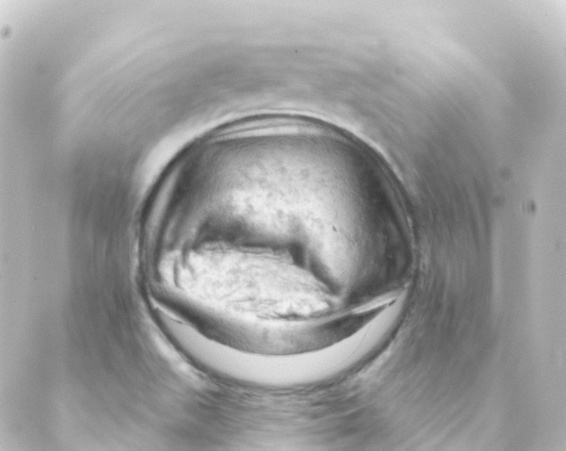 X0000088651511200706221557