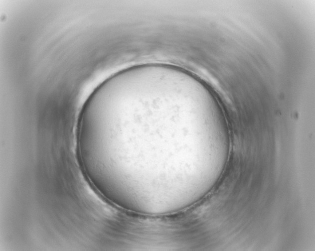 X0000088651512200706221557