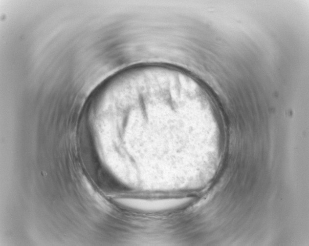 X0000088651513200706221557