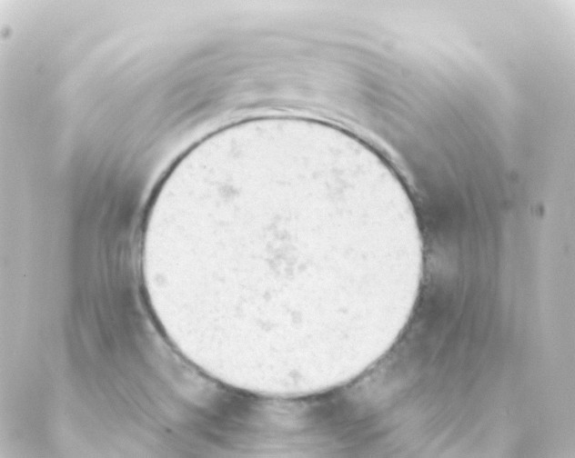 X0000088651514200706221558