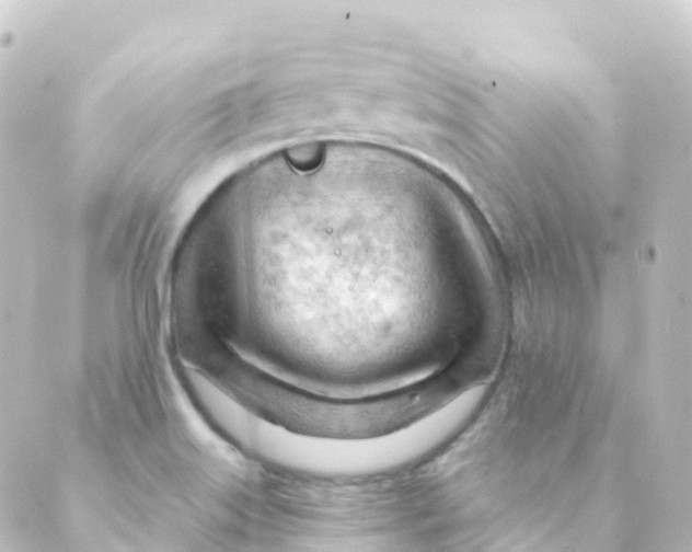 X0000088651515200706221558