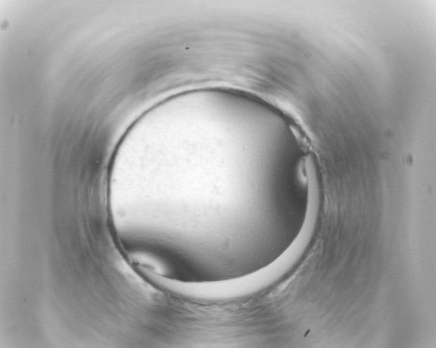 X0000088651516200706221558