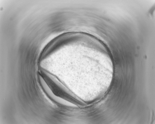 X0000088651517200706221558