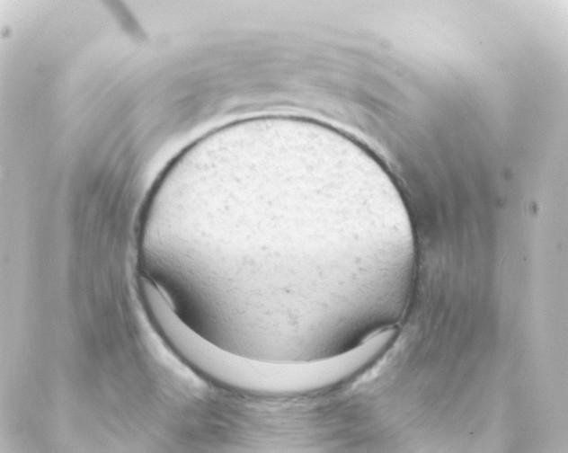 X0000088651518200706221558