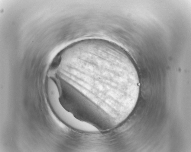 X0000088651519200706221558