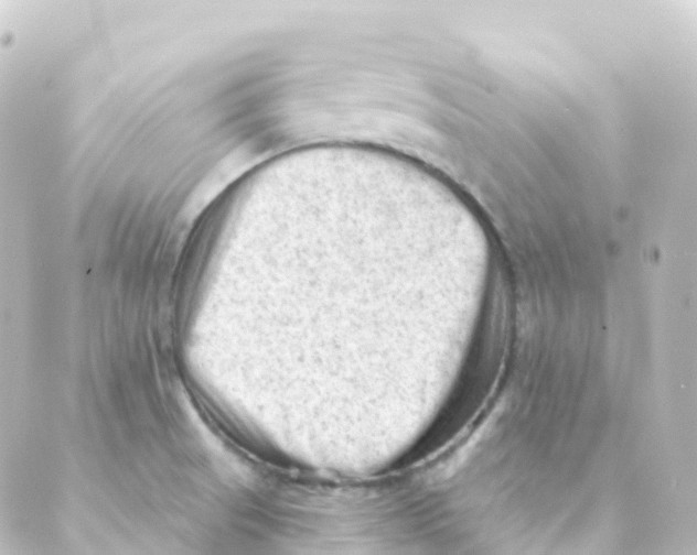 X0000088651521200706221558