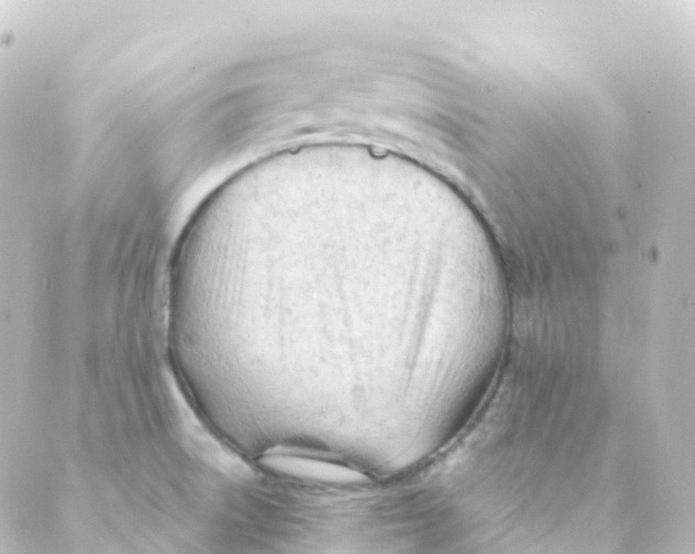 X0000088651522200706221558