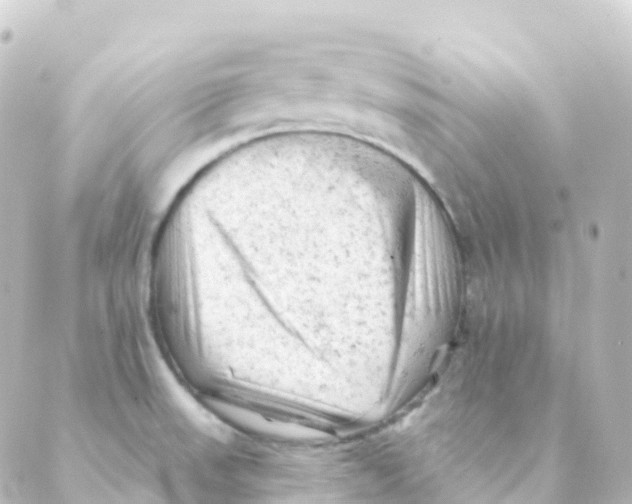 X0000088651523200706221558