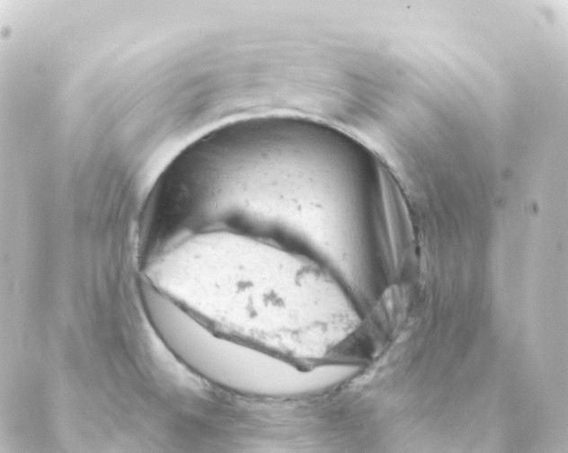 X0000088651524200706221558