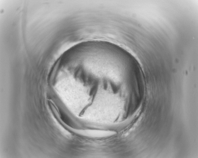 X0000088651525200706221558