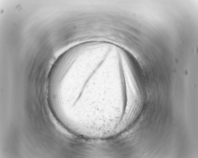 X0000088651526200706221558