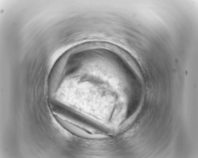 X0000088651527200706221558