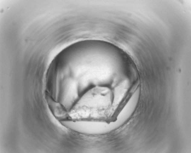 X0000088651528200706221558