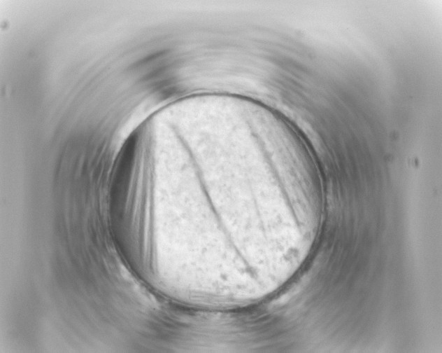 X0000088651529200706221558