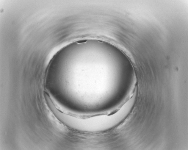 X0000088651530200706221558