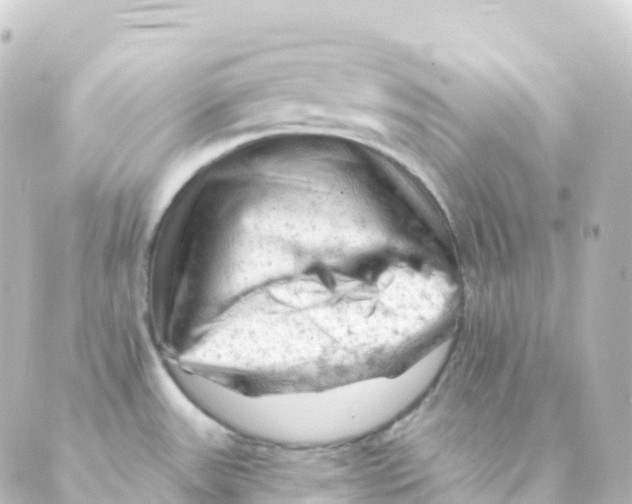 X0000088651531200706221558