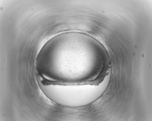 X0000088651532200706221558