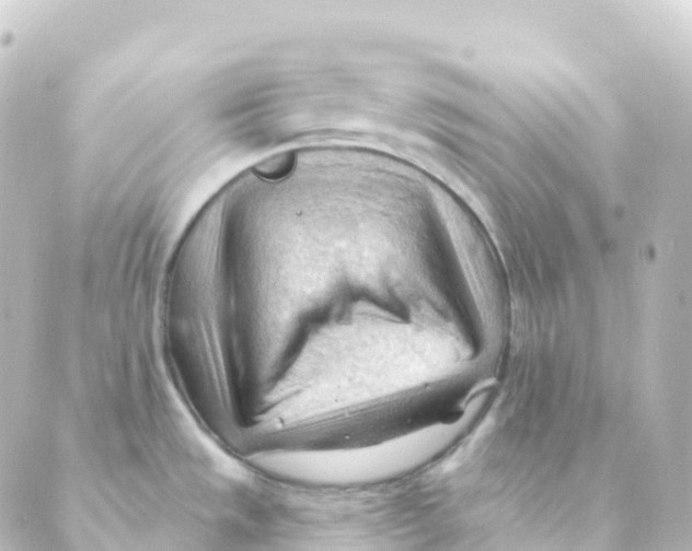 X0000088651533200706221558