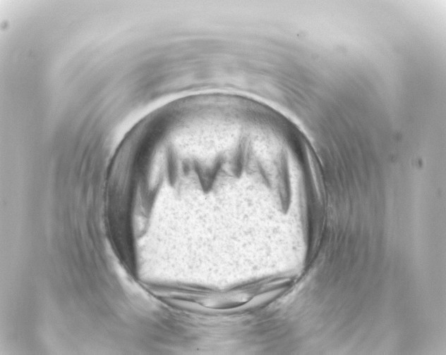 X0000088651534200706221558