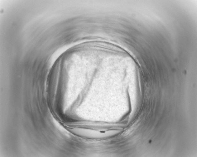 X0000088651535200706221558