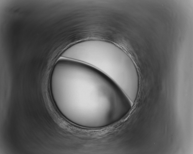 X0000088660001200705251011