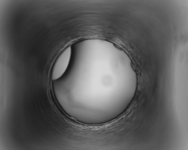 X0000088660002200705251011