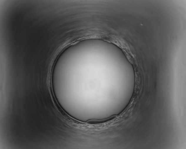 X0000088660003200705251011