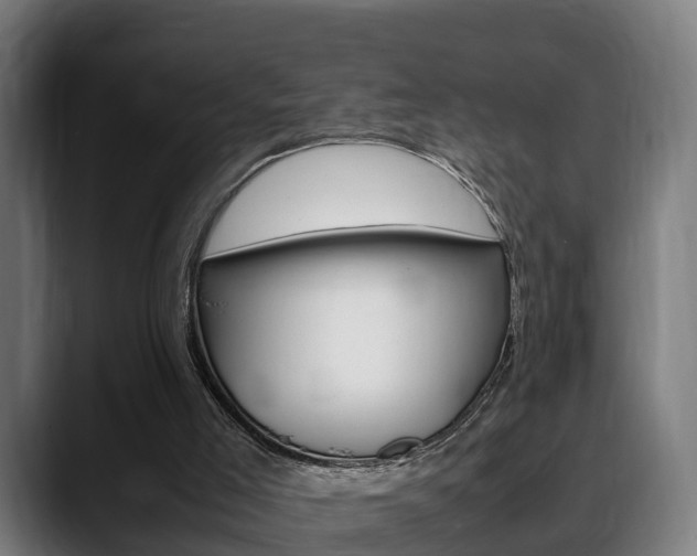 X0000088660005200705251011