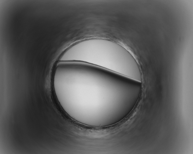 X0000088660008200705251011