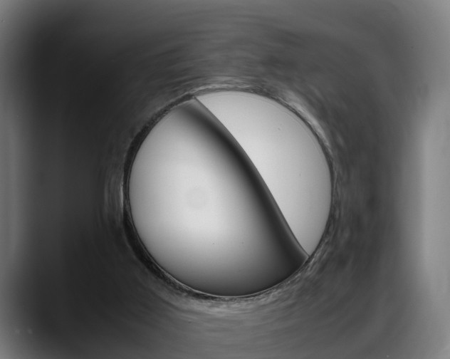 X0000088660011200705251011