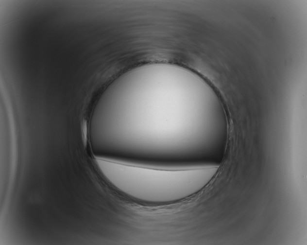 X0000088660013200705251011