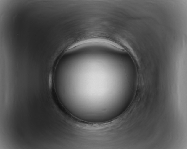 X0000088660019200705251011