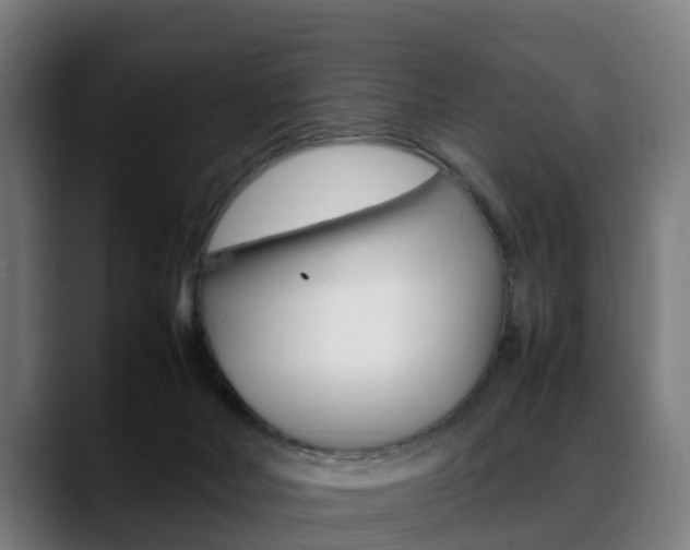 X0000088660026200705251011