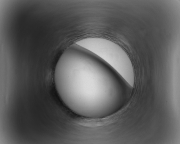 X0000088660029200705251011