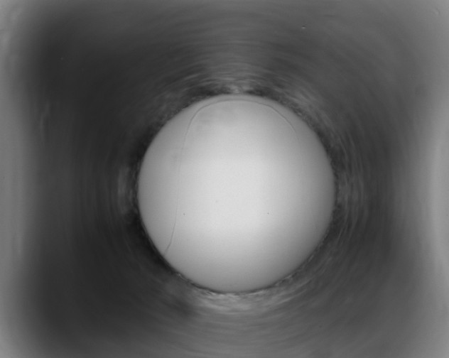 X0000088660030200705251011