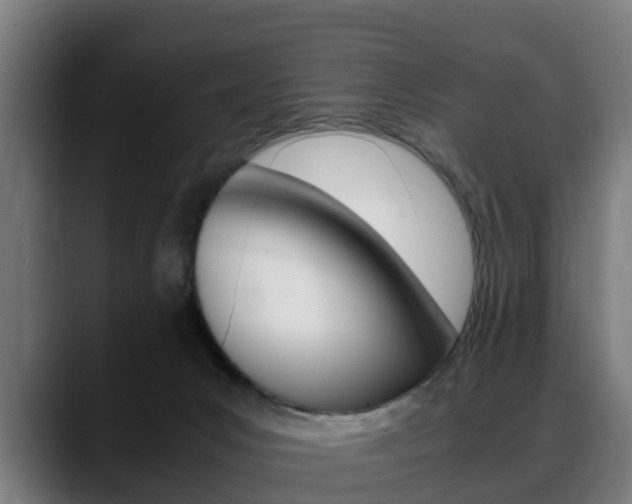 X0000088660031200705251011