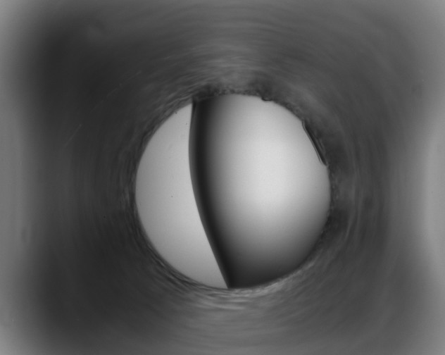 X0000088660033200705251011